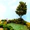 8 Pack: Mini Water & Landscape Kit by Make Market®